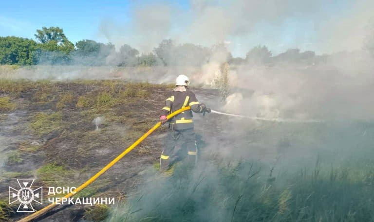 «Не кидайте недопалки на землю»: очерет та суха рослинність горіли на Черкащині (ФОТО)
