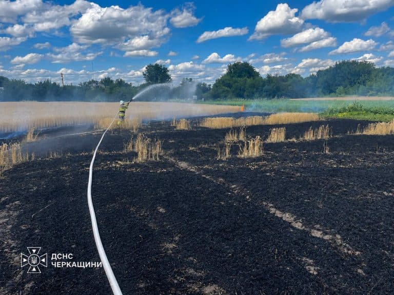 Через необережне куріння на Городищині горіла пшениця (ФОТО)