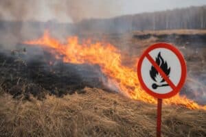 Упродовж трьох днів серпня на Черкащині прогнозують надзвичайну пожежну небезпеку