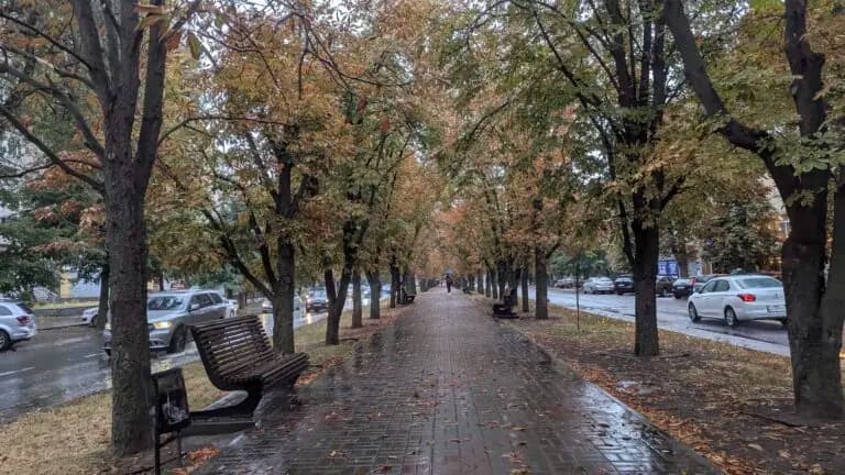 На Черкащині прогнозують дощі й різке похолодання