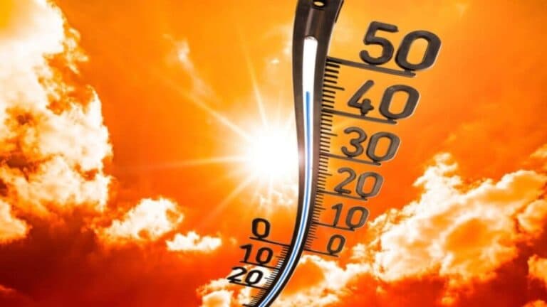 На Черкащині прогнозують спеку до +38°